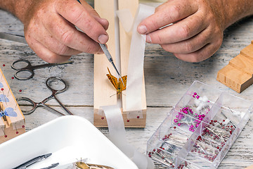 Image showing Man spread a butterfly