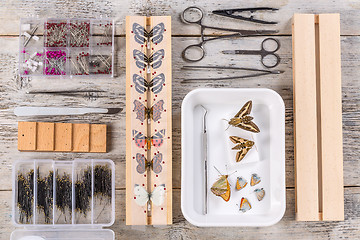 Image showing Butterflies and tools