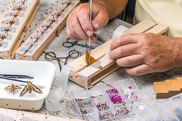 Image showing Man spread a butterfly