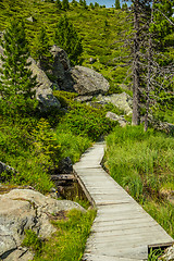 Image showing Wooden tourist path