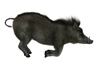 Image showing Warthog