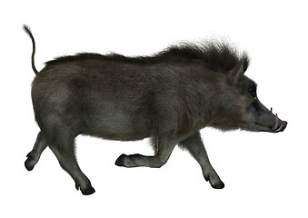 Image showing Warthog