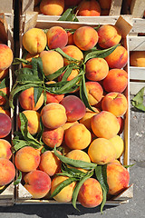 Image showing Peaches