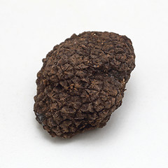 Image showing Black Truffle