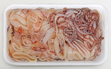 Image showing Frozen Squids