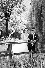 Image showing Bride and groom posing in nature bw