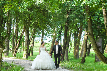 Image showing Newlyweds walking in nature