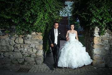 Image showing Newlyweds holding hands and walking