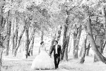 Image showing Newlyweds walking in nature bw