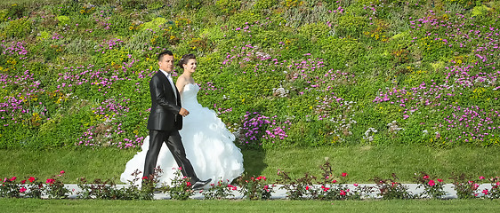 Image showing Newlyweds walking on pathway
