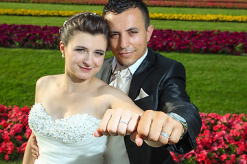 Image showing Bride and groom showing wedding rings