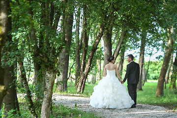 Image showing Bride and groom walking in nature