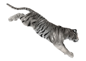 Image showing White Tiger