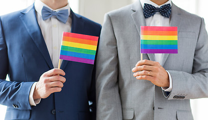 Image showing close up of male gay couple holding rainbow flags