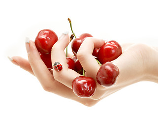 Image showing hand full of red cherries