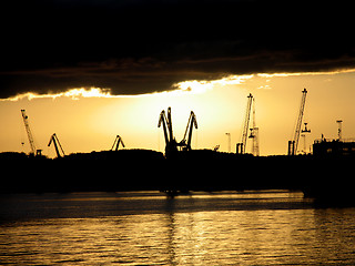 Image showing Cranes in sunset