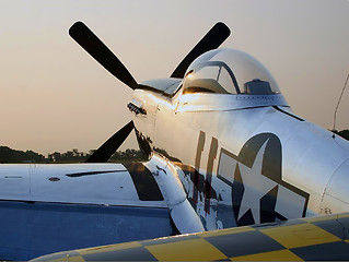 Image showing Mustang Waiting