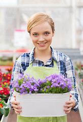 Image showing happy woman holding flowers in greenhouse