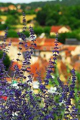 Image showing Rooftops in Sarlat, France