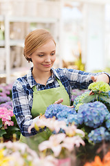 Image showing happy woman taking care of flowers in greenhouse