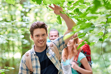 Image showing group of smiling friends with backpacks hiking