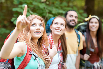 Image showing group of smiling friends with backpacks hiking