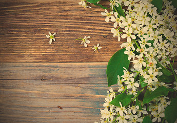 Image showing branch of blossom bird cherry on aged boards antique table