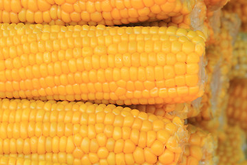 Image showing sweet corn background