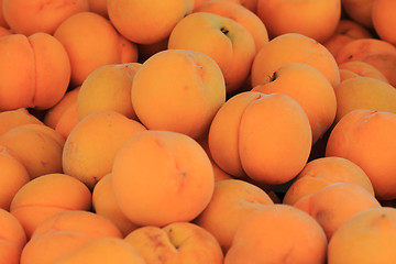 Image showing fresh apricots background