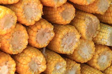 Image showing sweet corn background