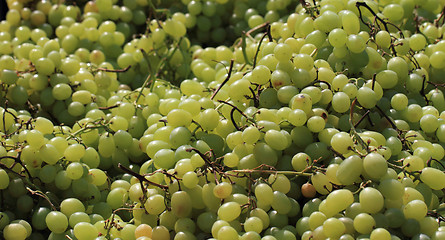 Image showing white grapes background