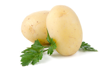 Image showing New potatoes and green parsley