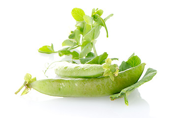 Image showing Fresh green pea pod