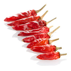 Image showing Red chili peppers