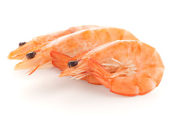 Image showing Three shrimps 