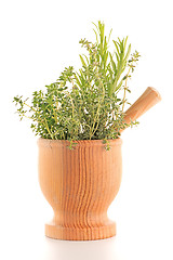 Image showing Green herb leafs 