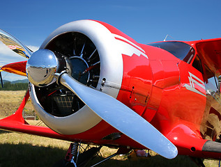 Image showing Staggerwing