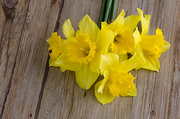 Image showing Jonquil flowers