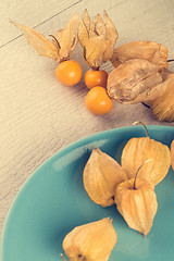 Image showing Physalis fruits