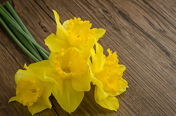 Image showing Jonquil flowers