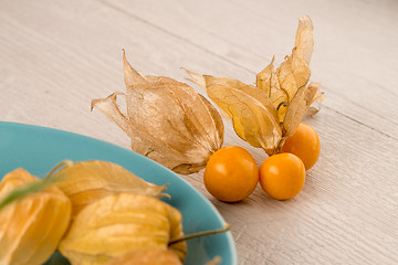 Image showing Physalis fruits