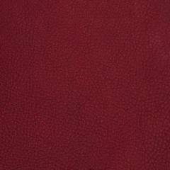 Image showing Red leather 