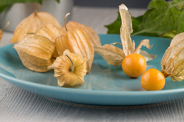 Image showing Physalis fruits