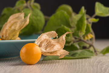 Image showing Physalis fruits