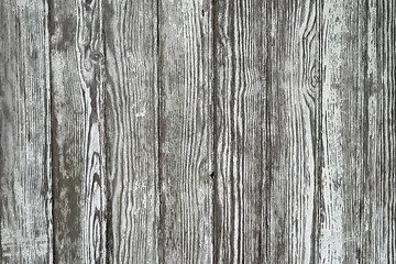 Image showing Wood old wall background