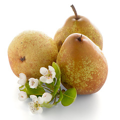 Image showing Three ripe pears