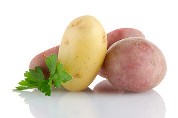 Image showing New potatoes and green parsley