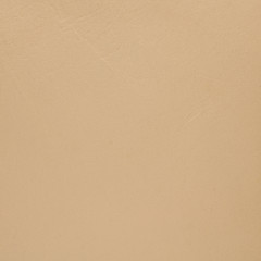 Image showing Beige leather