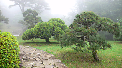 Image showing japanese park in summer