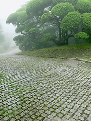 Image showing japanese park